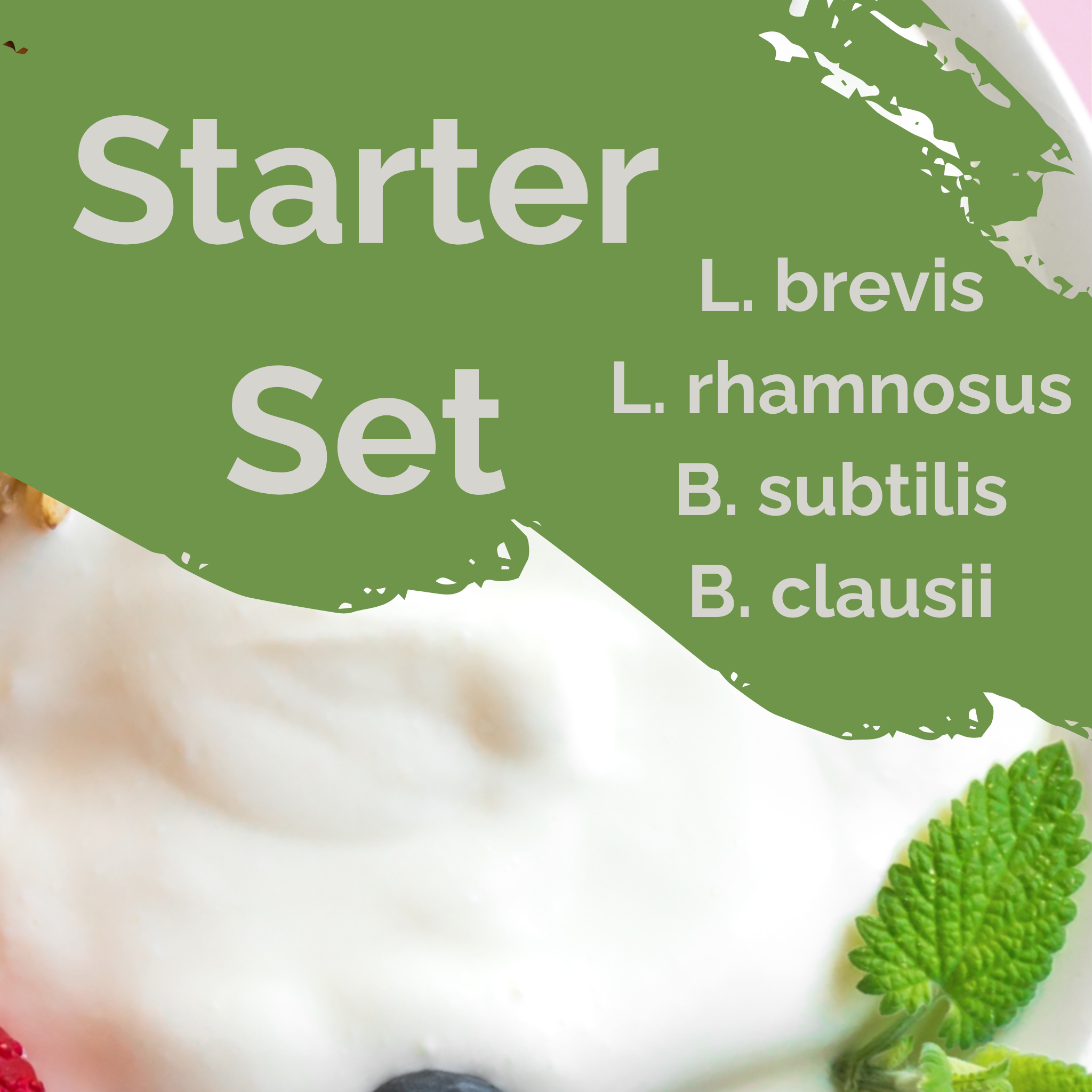 L. brevis + L. rhamnosus + B. subtilis + B. clausii | ชุดเริ่มต้นโยเกิร์ต | ปกป้องลำไส้ | เชื้อเริ่มต้น | แพ็ค 3 ชิ้น
