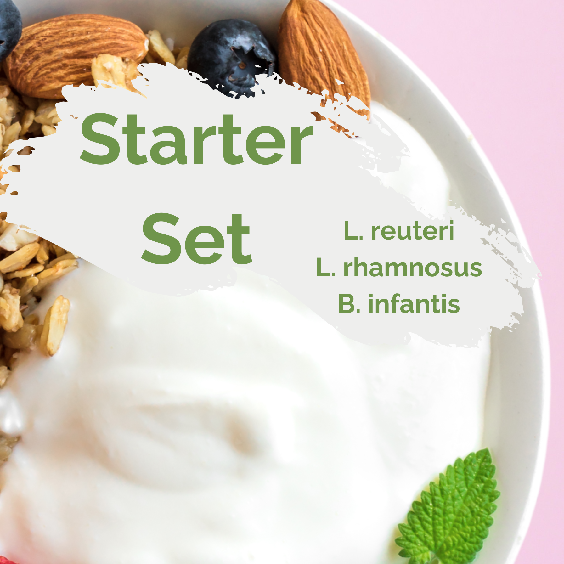 Kit de démarrage "Happy Gut" | Yaourt L. reuteri, L. rhamnosus et B. infantis