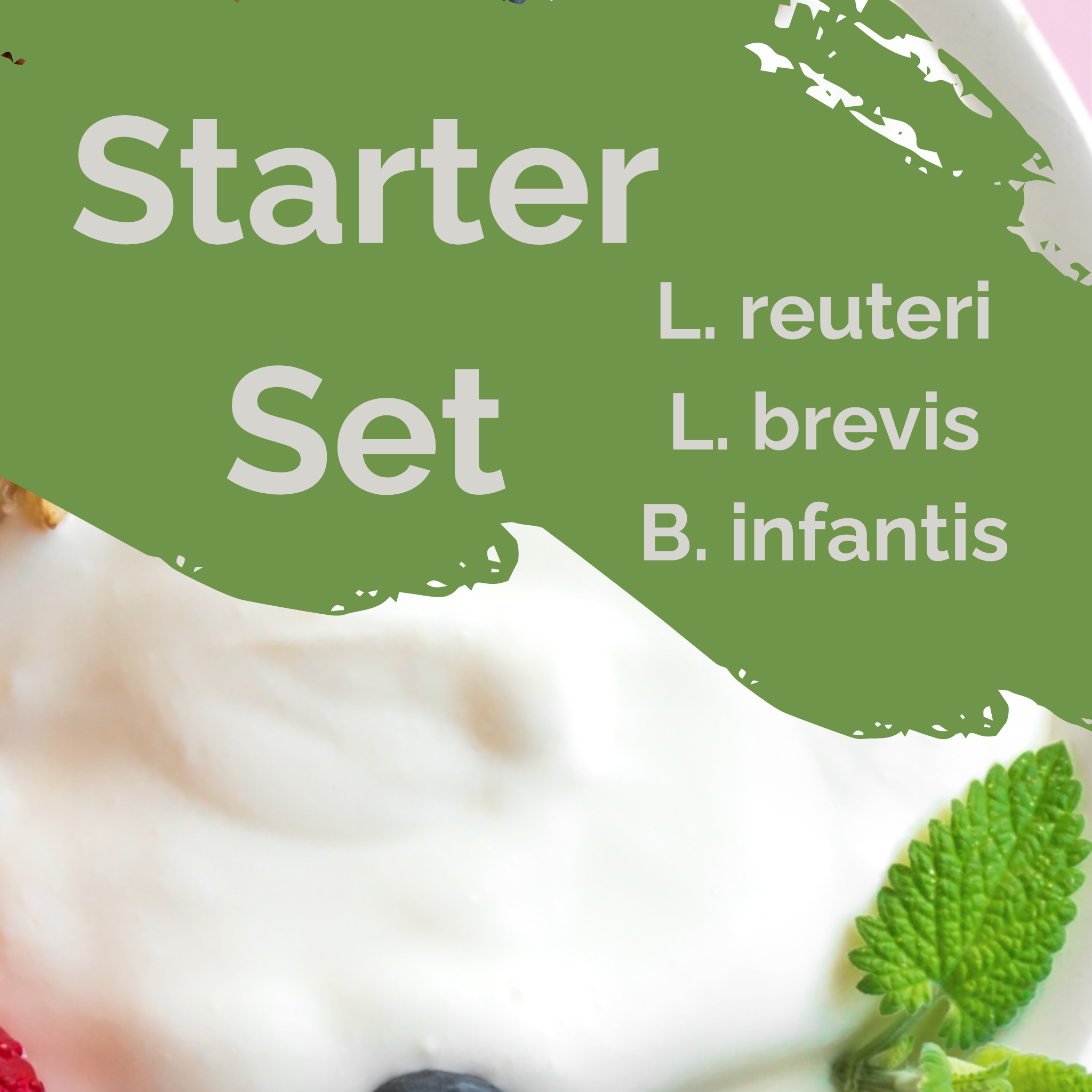 L. reuteri + L. brevis + B. infantis | ชุดเริ่มต้นโยเกิร์ต | สมองลำไส้ | เชื้อเริ่มต้น | แพ็ค 3 ชิ้น
